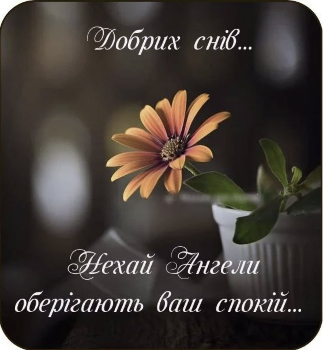 пожелания на ночь — изображение 3