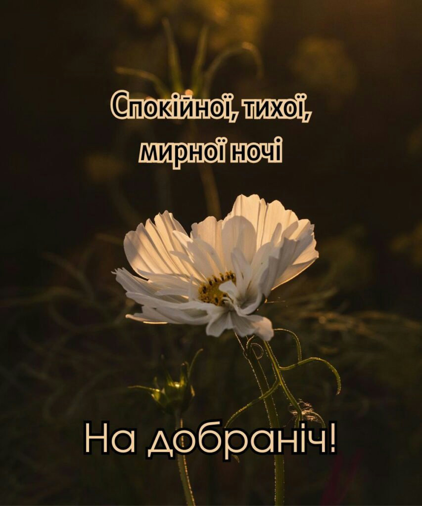 пожелания спокойной ночи — изображение 7
