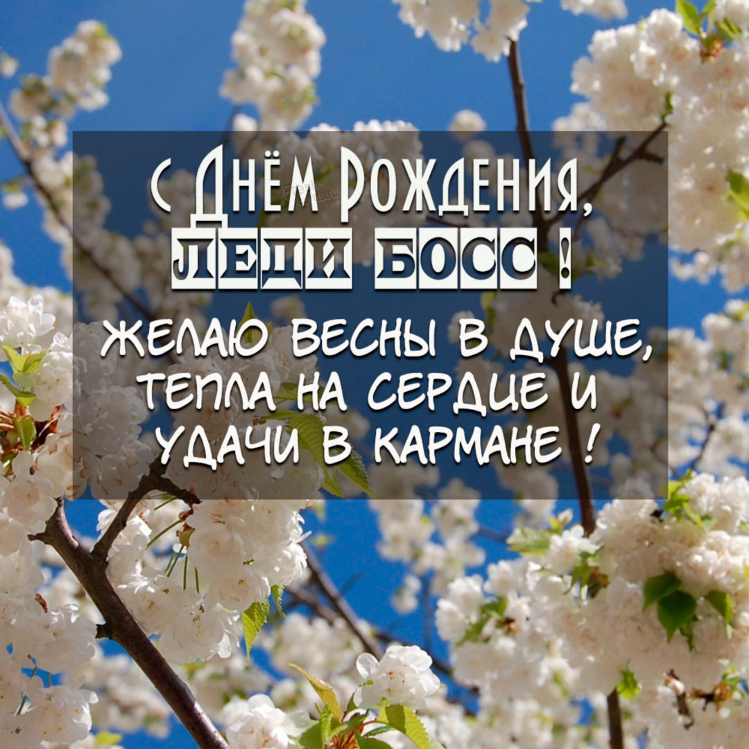 привітання з днем народження керівника жінку вірш - Листівка 2