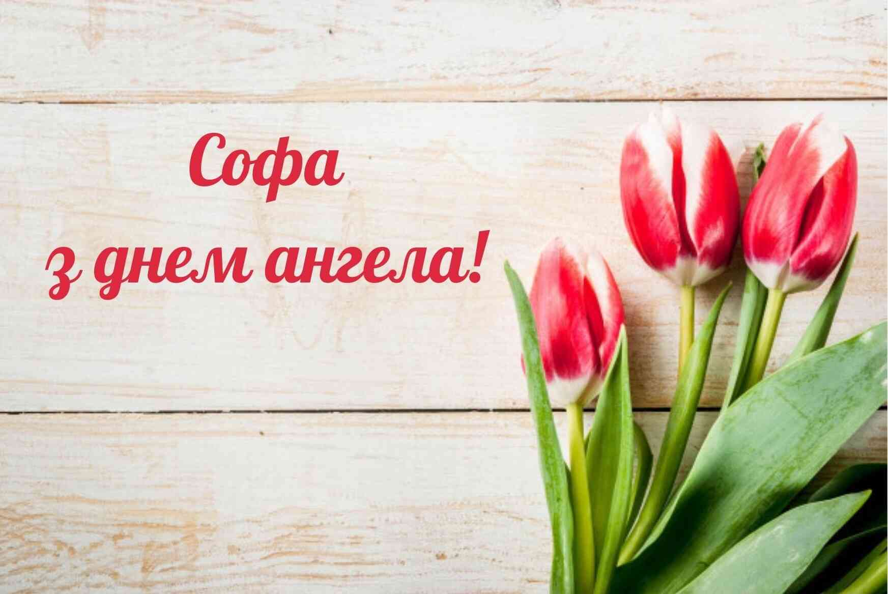 привітання з днем народження софія - Листівка 13