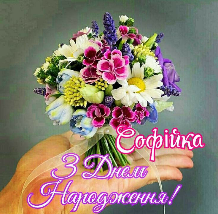 привітання з днем народження софія - Листівка 4