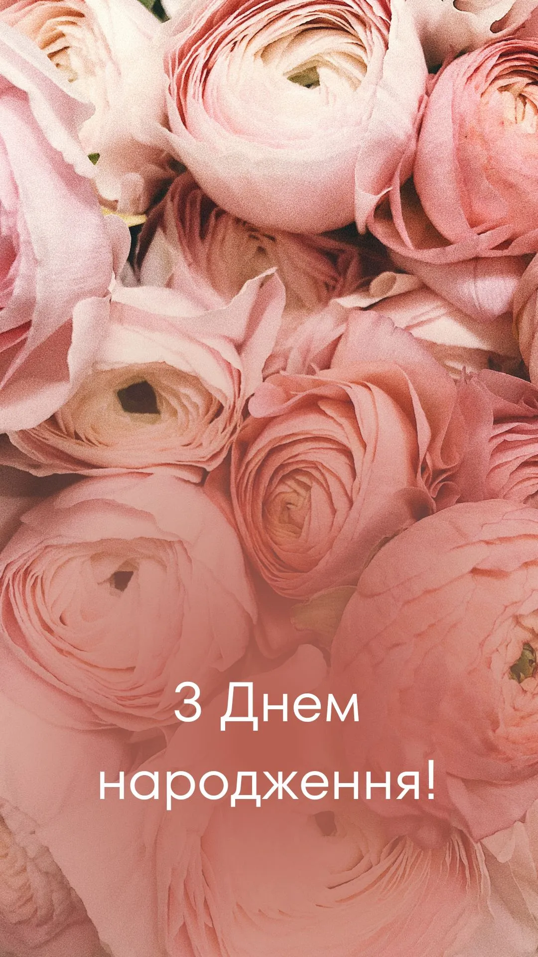 з днем народження великий картинки - Листівки 5
