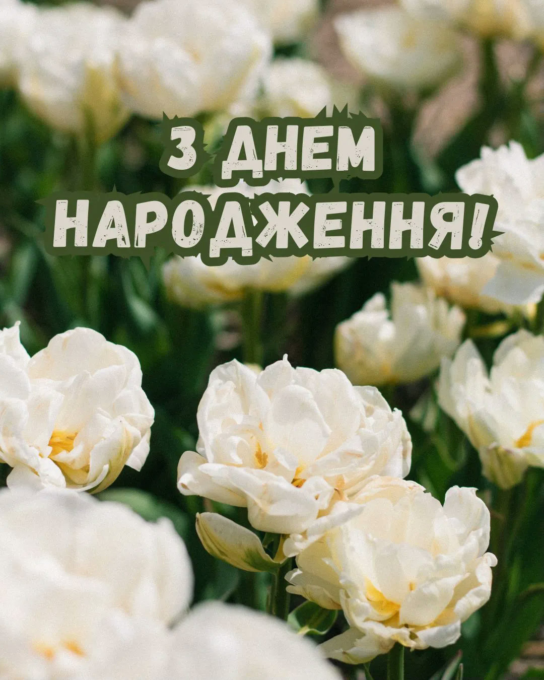 С днём рождения, дорогая — изображение 2